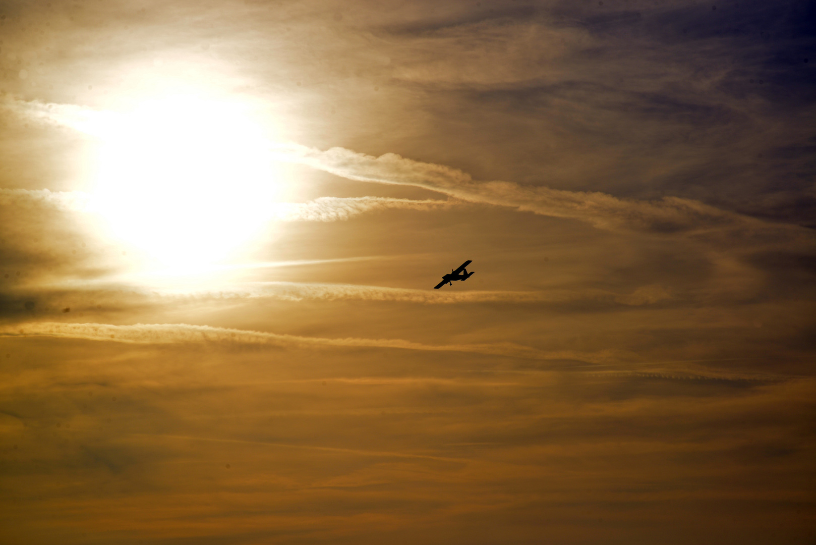 der Sonne entgegen