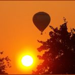 Der Sonne entgegen