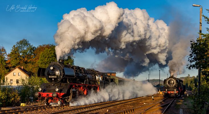 Der Sonne entgegen ...