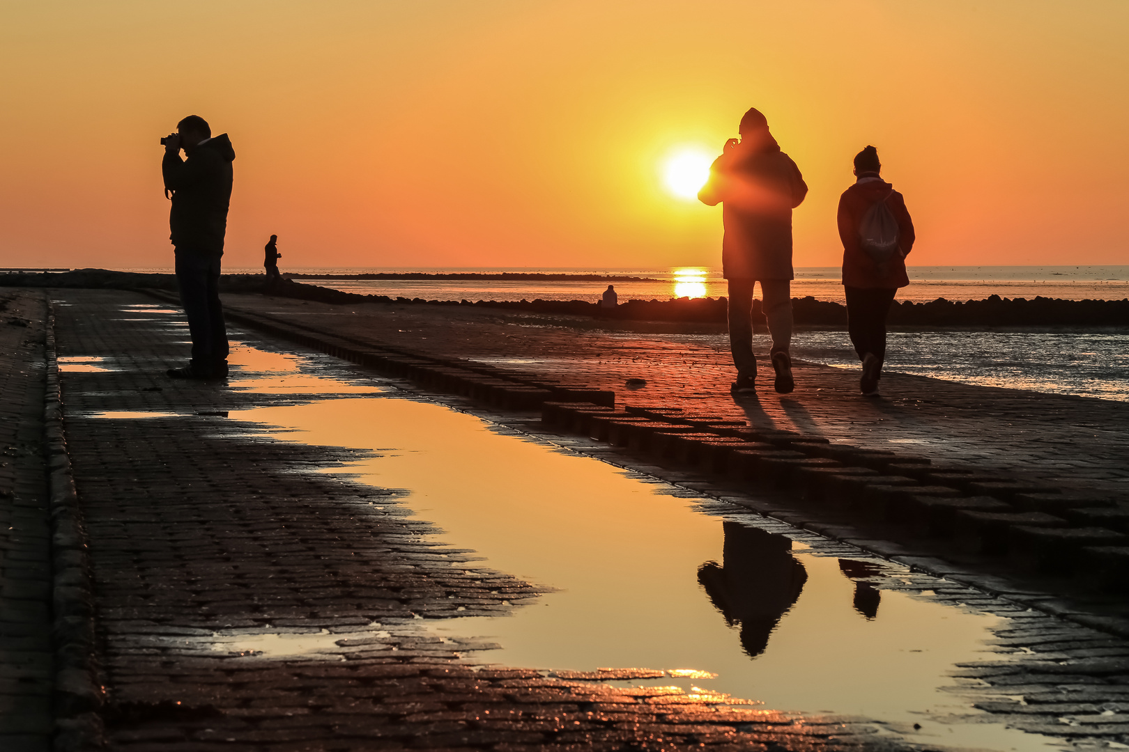 Der Sonne entgegen