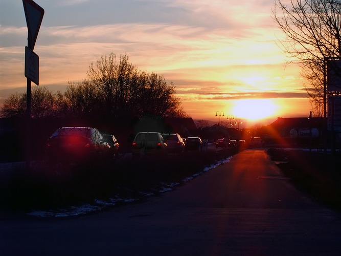 Der Sonne entgegen