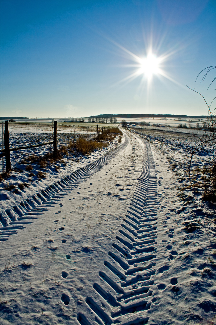 der sonne entgegen