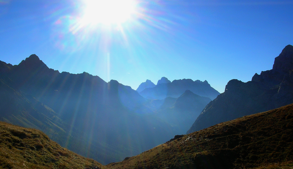 der Sonne entgegen