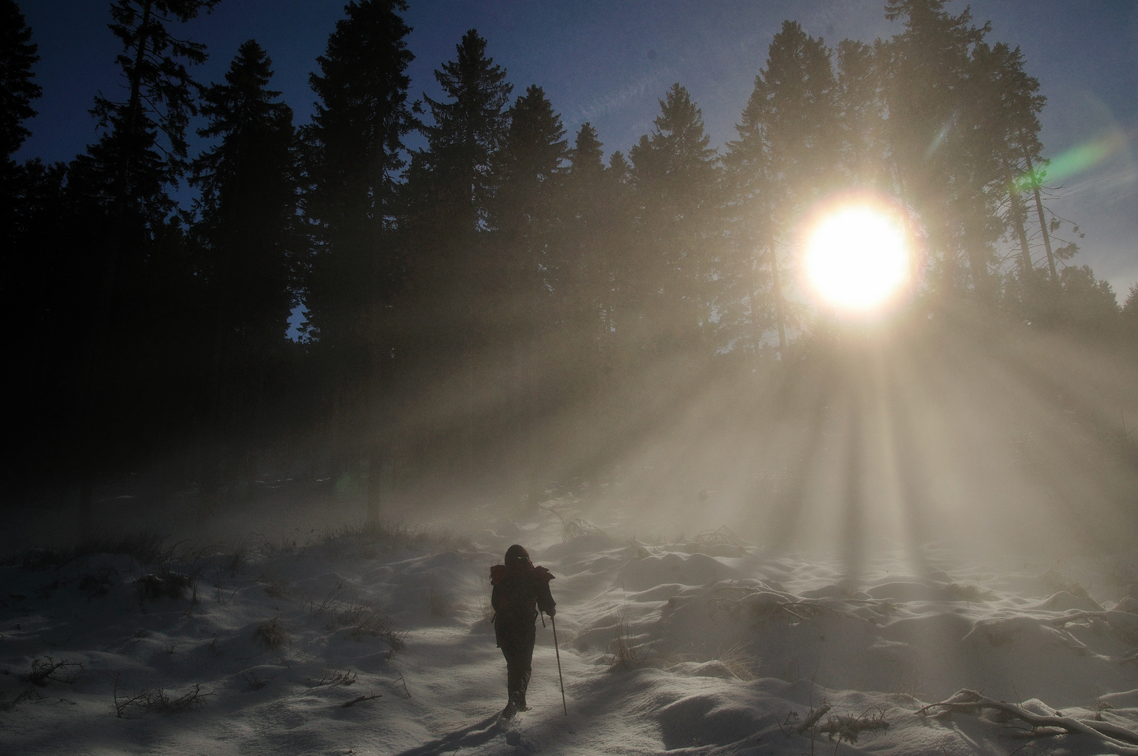 Der Sonne entgegen