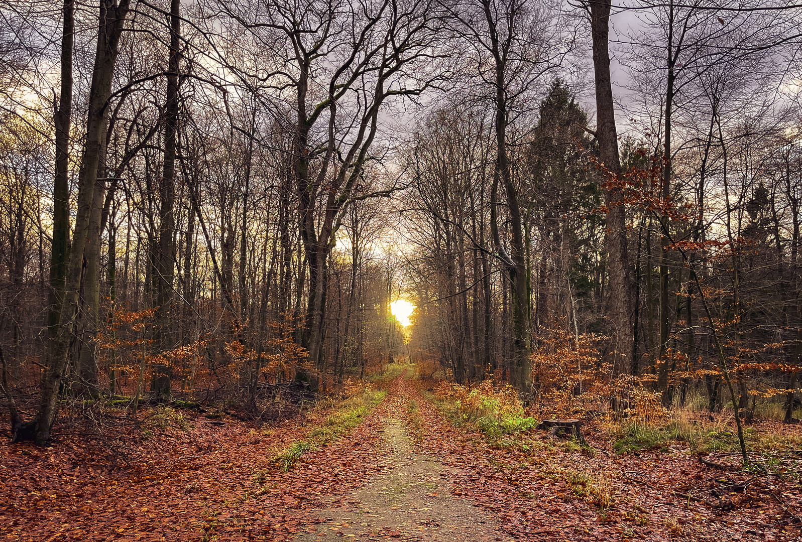 Der Sonne entgegen 