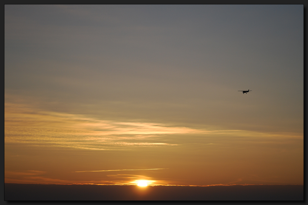 ...Der Sonne entgegen...