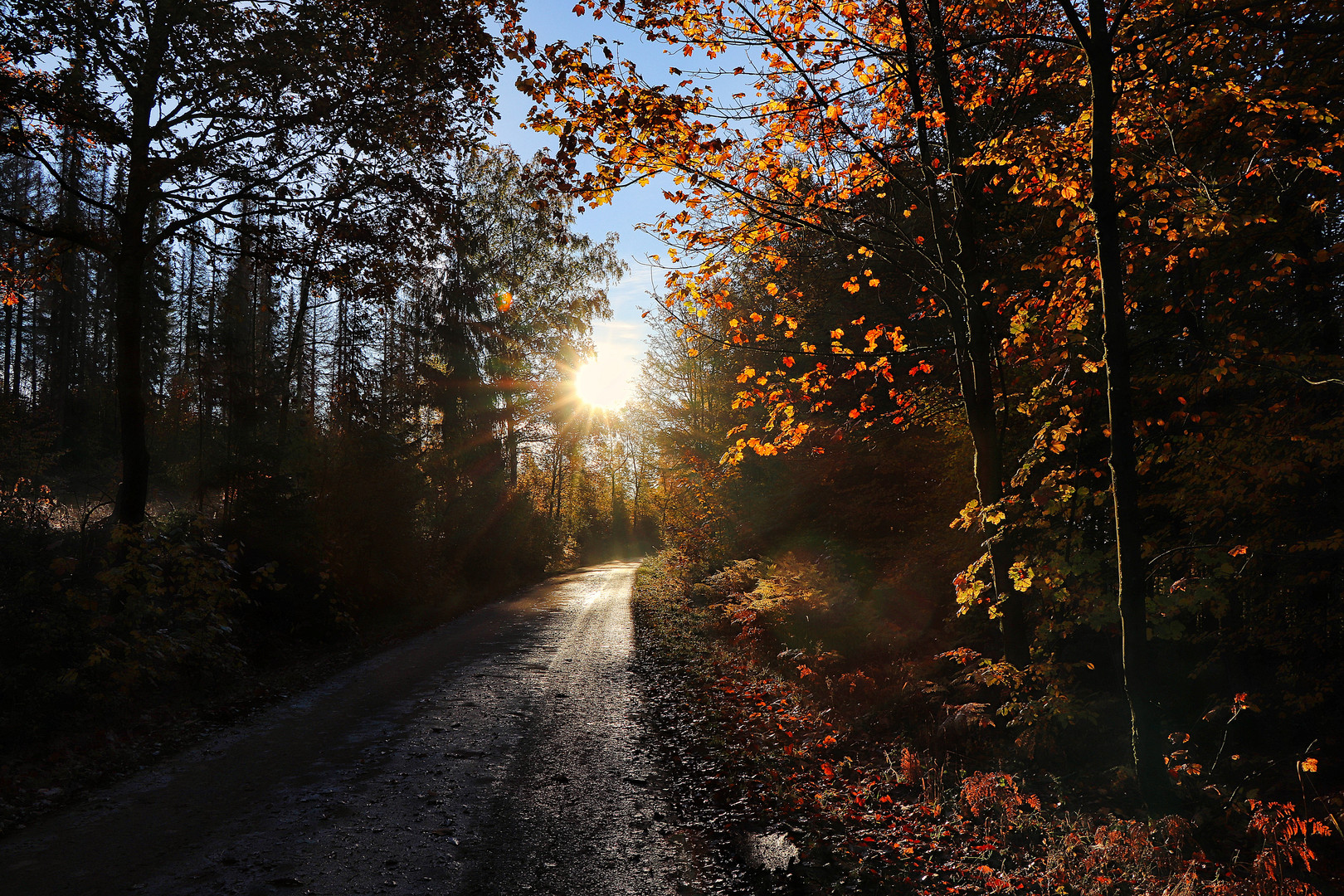 Der Sonne entgegen