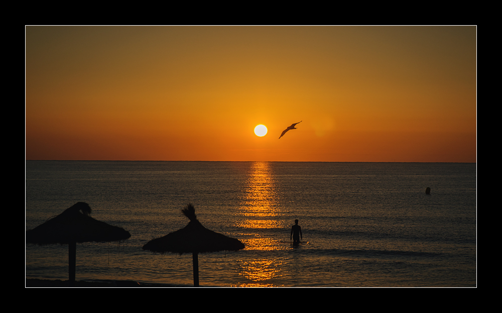 Der Sonne entgegen...