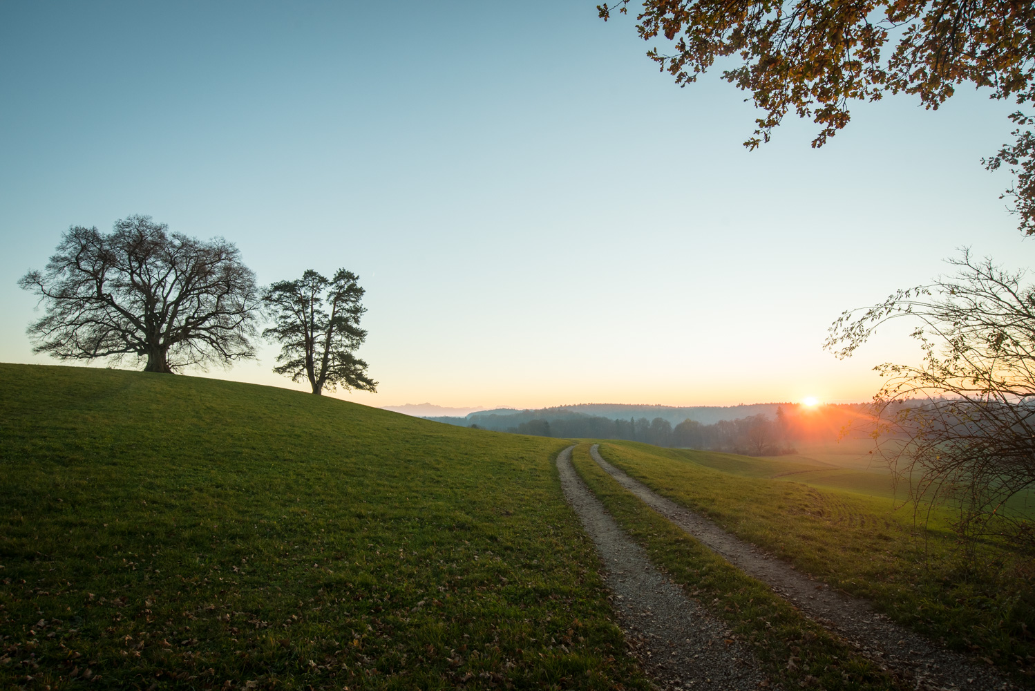 der sonne entgegen