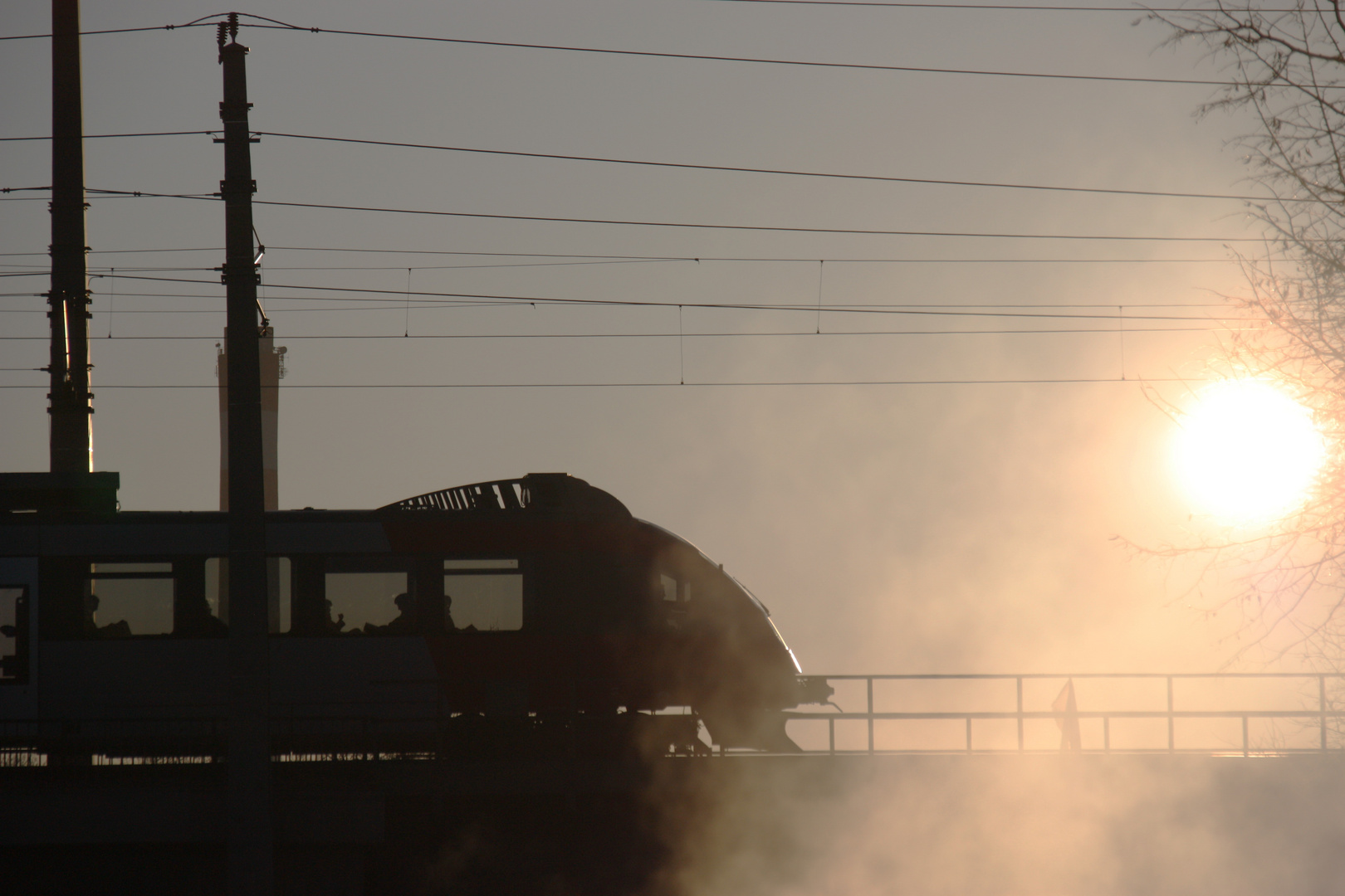 Der Sonne entgegen