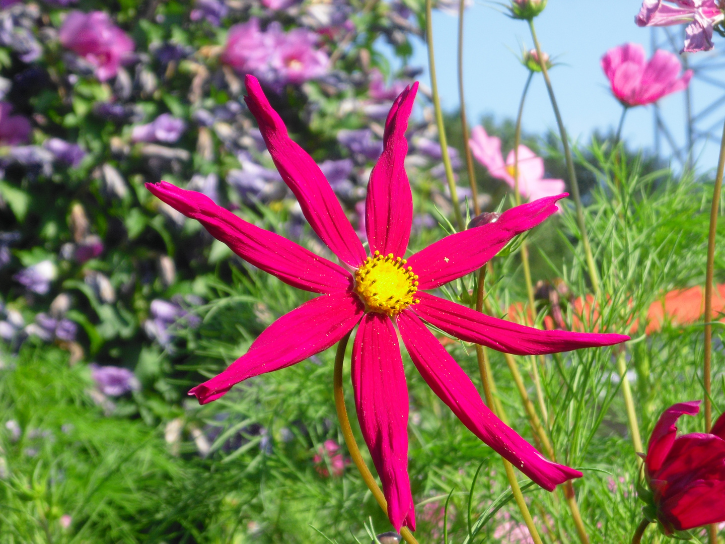 Der Sonne entgegen