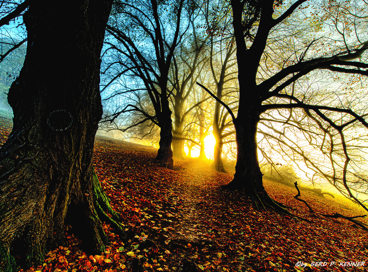 Der Sonne entgegen