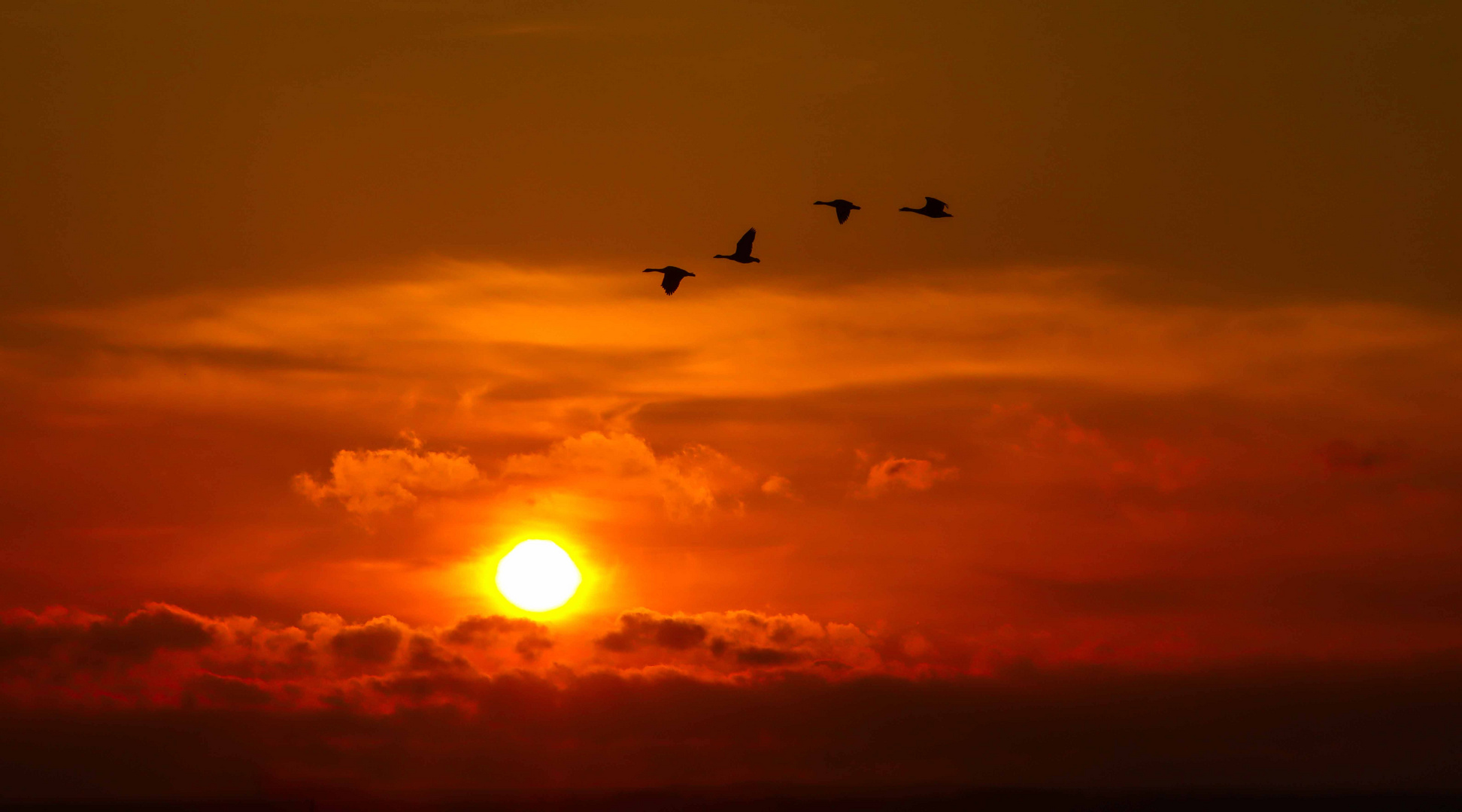 Der Sonne entgegen