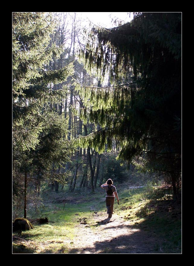 Der Sonne entgegen