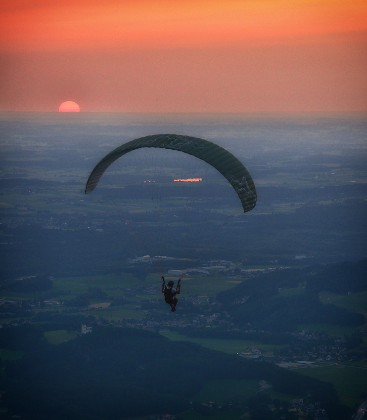 der Sonne entgegen