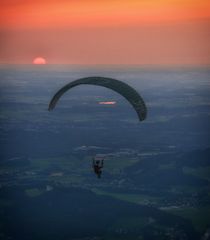 der Sonne entgegen