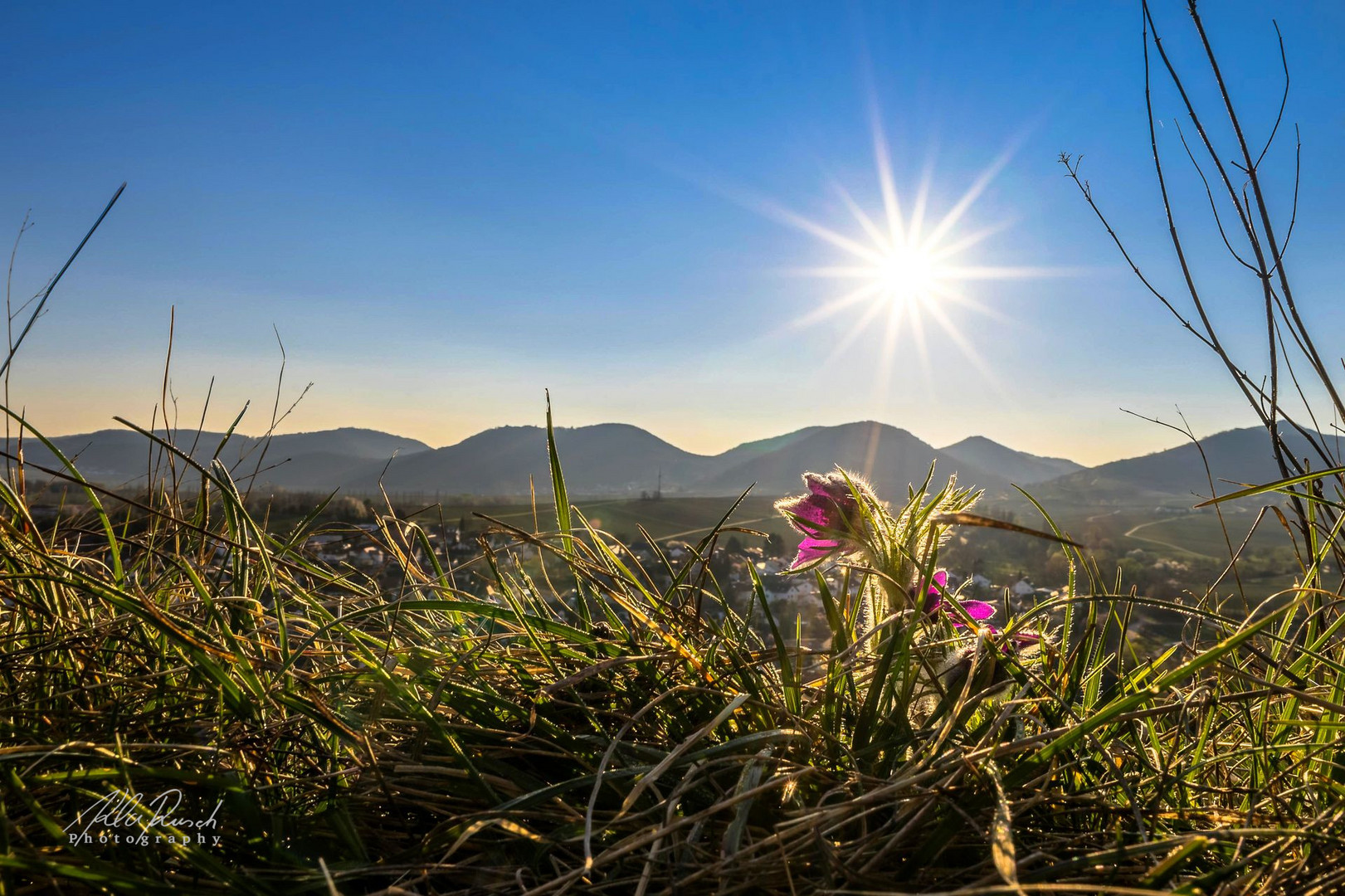 Der Sonne entgegen