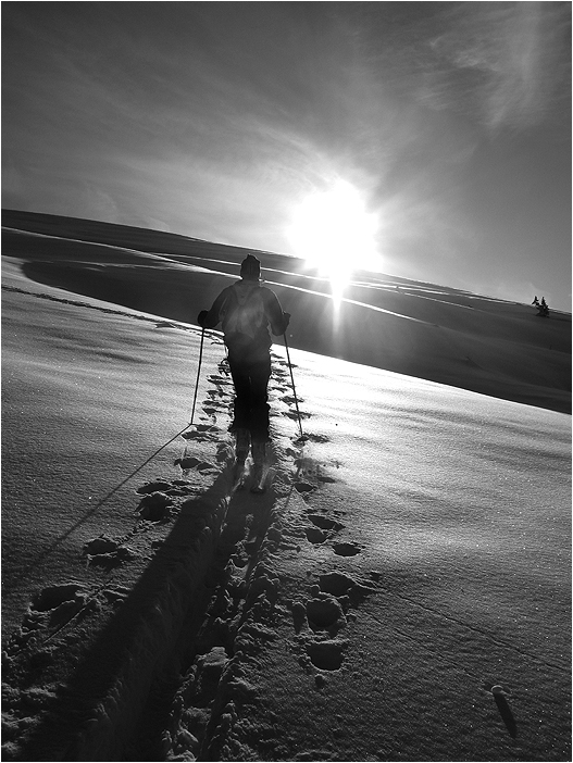 der sonne entgegen