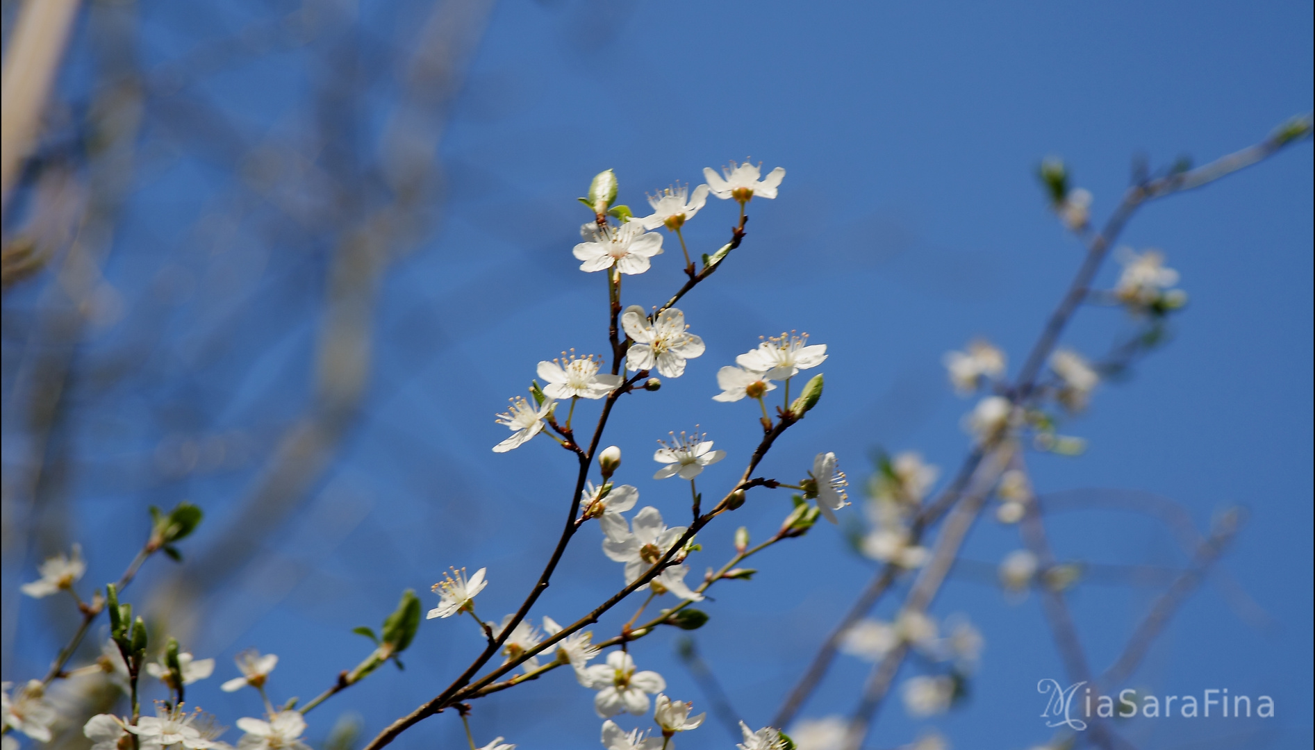 Der Sonne entgegen.....