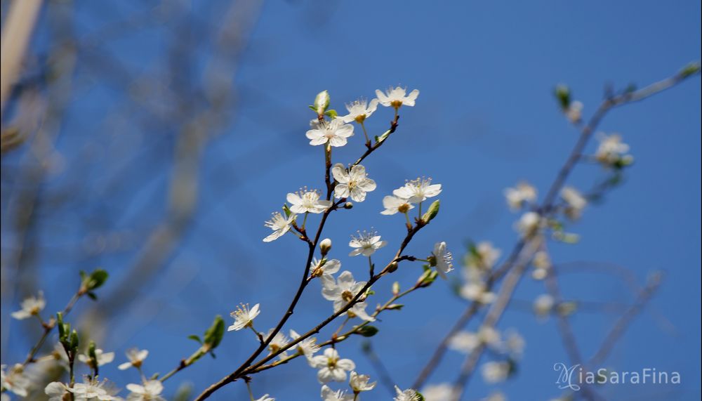 Der Sonne entgegen.....