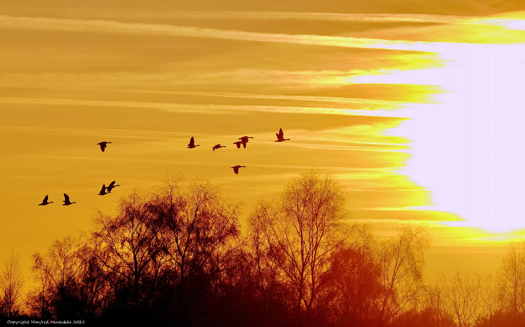 Der Sonne entgegen 