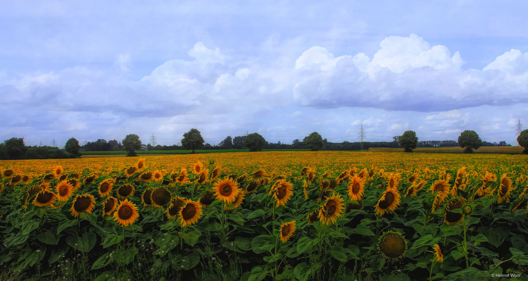 Der Sonne entgegen