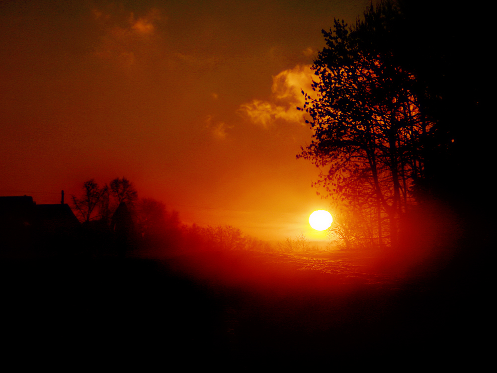 Der Sonne entgegen!