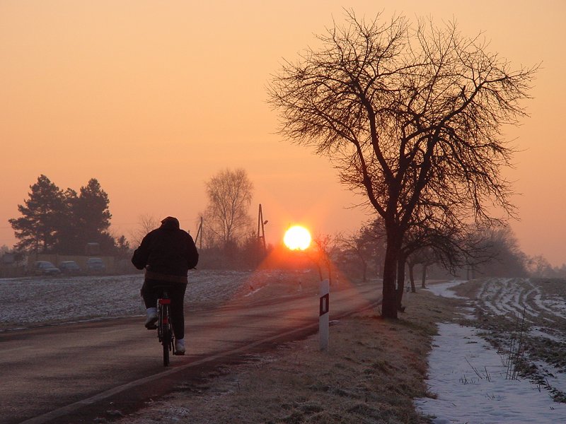 Der Sonne entgegen.