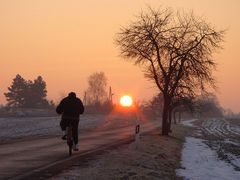 Der Sonne entgegen.