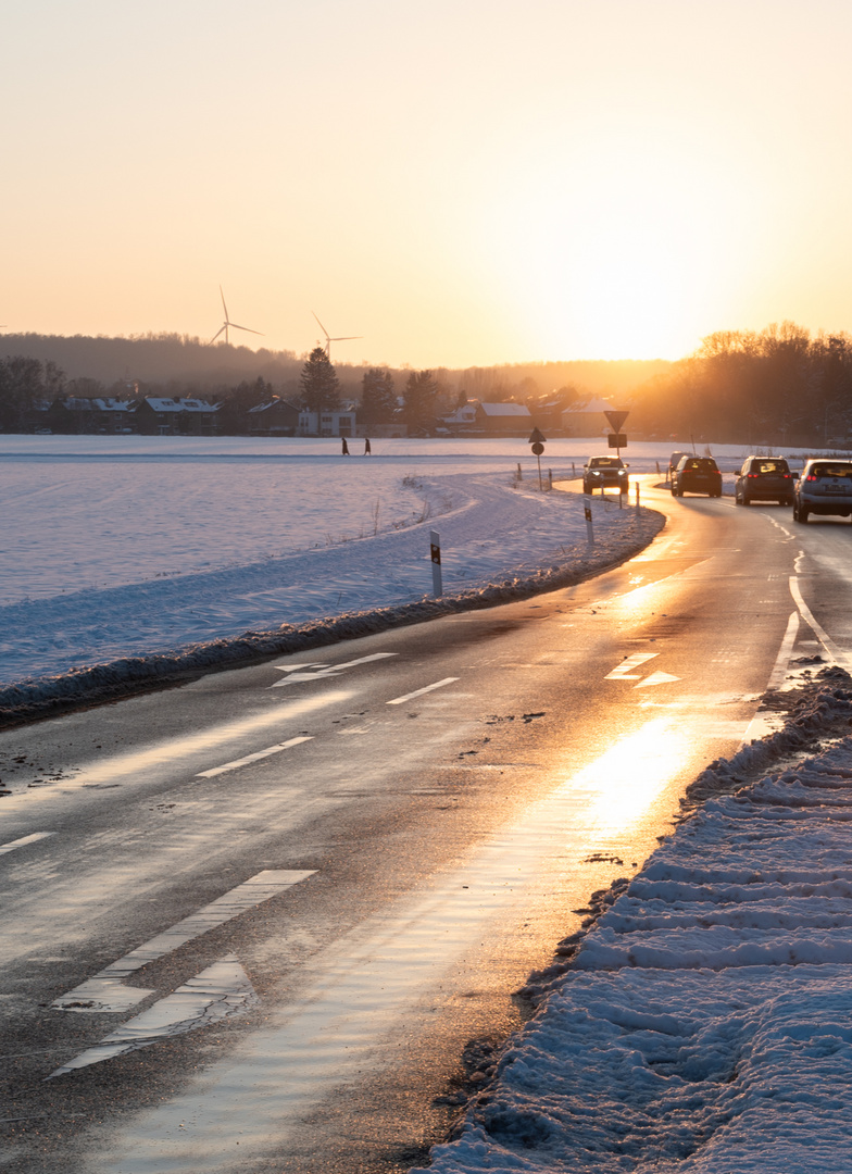 der Sonne entgegen