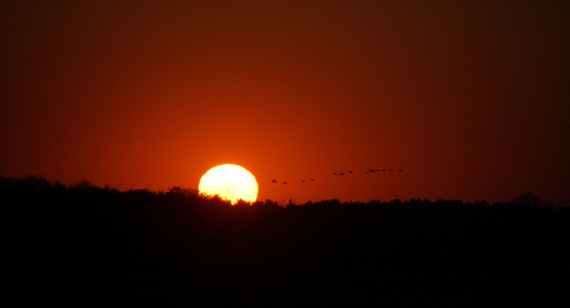 der Sonne entgegen