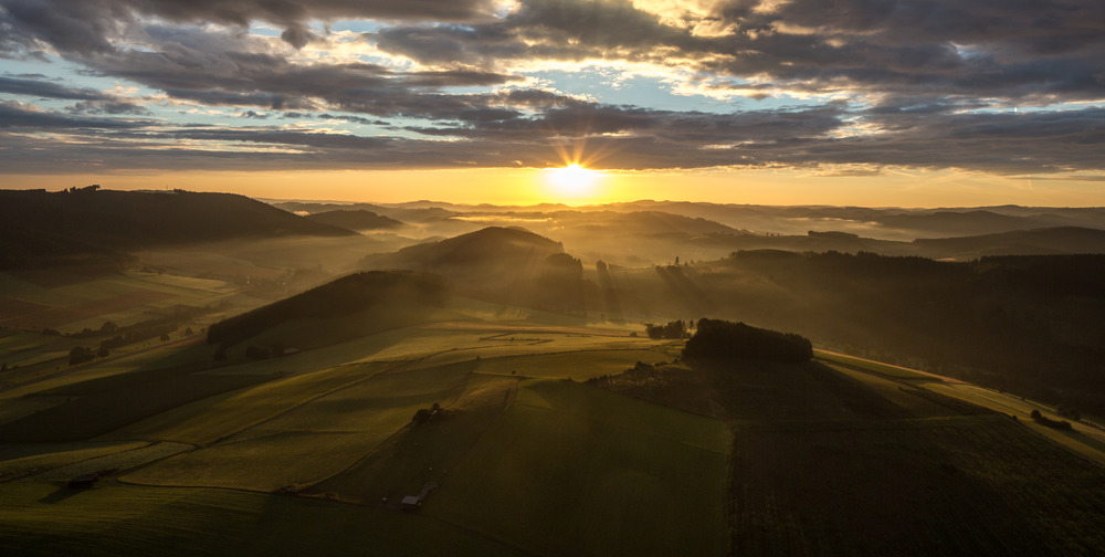 der Sonne entgegen