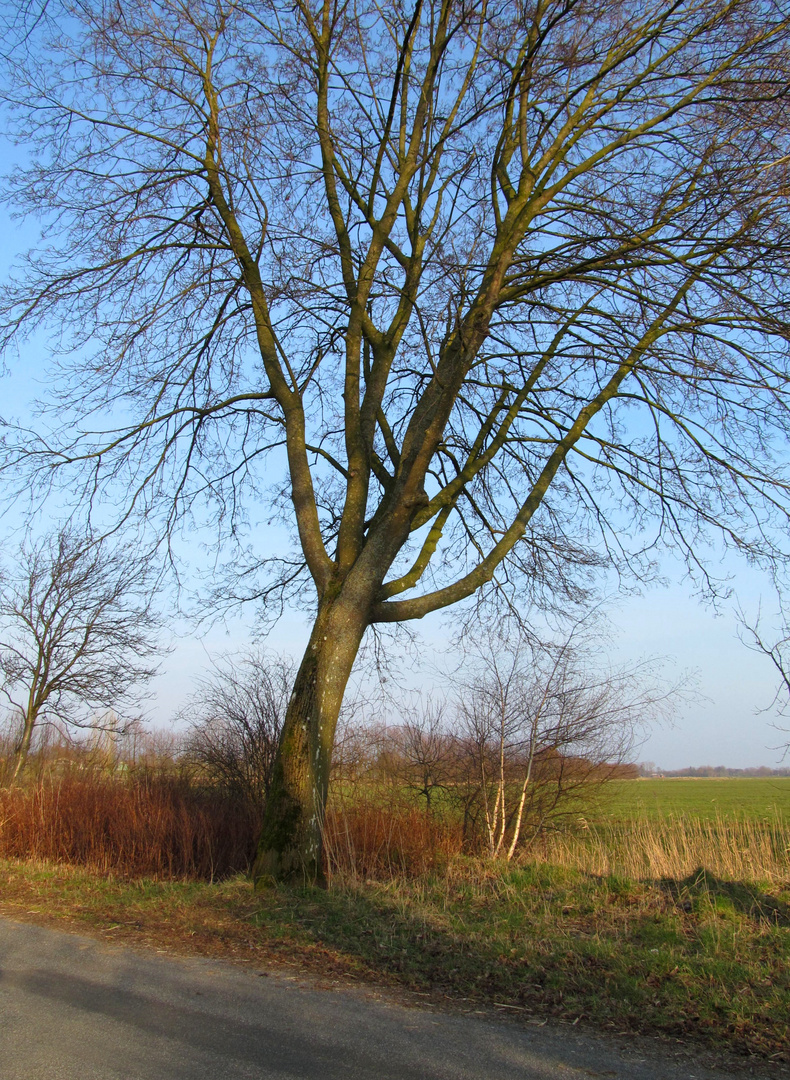 der Sonne entgegen 