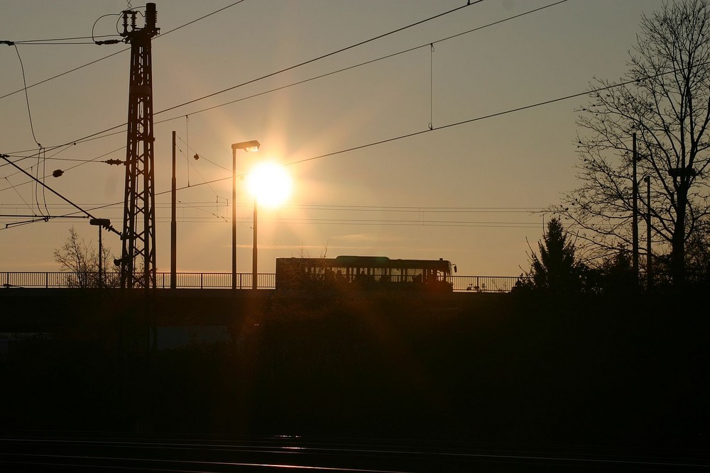 Der Sonne entgegen