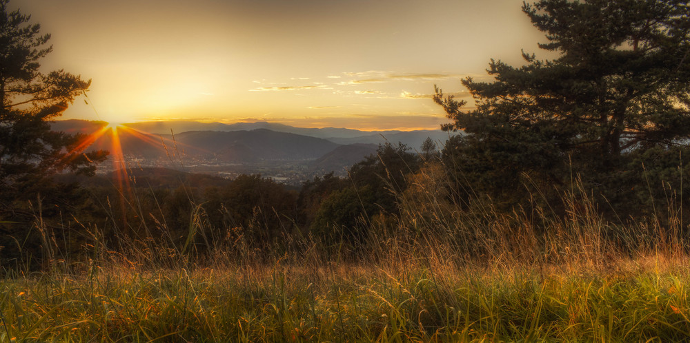 Der Sonne entgegen