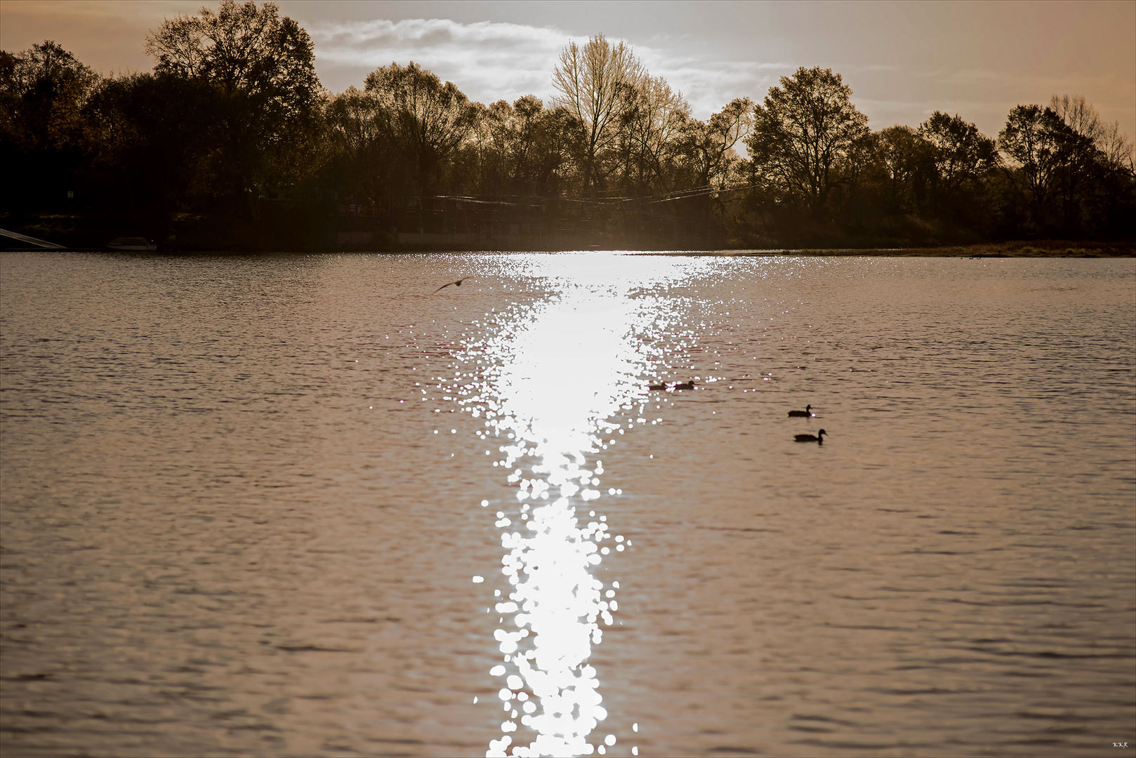 Der Sonne entgegen