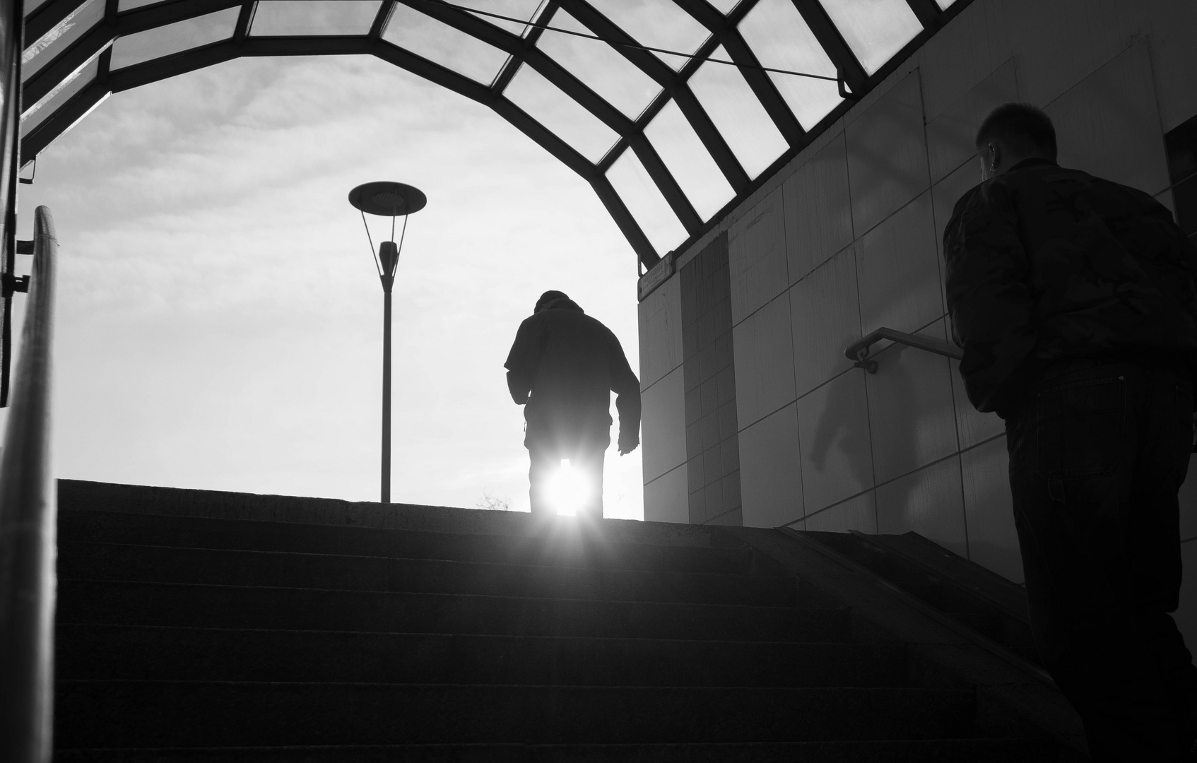 der Sonne entgegen