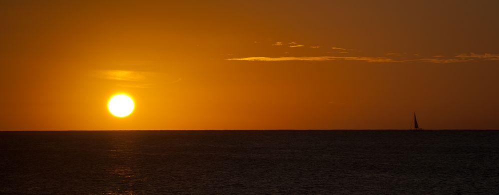 Der Sonne entgegen