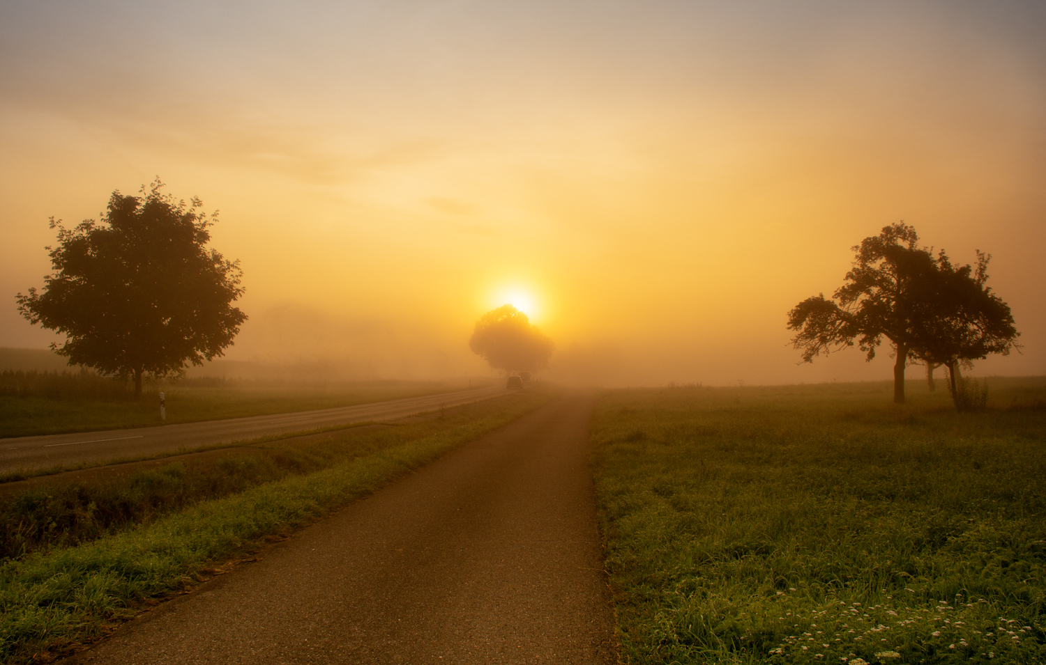 Der Sonne entgegen