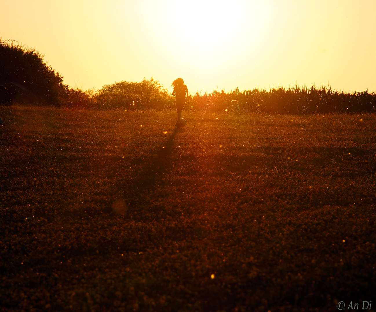 Der Sonne entgegen