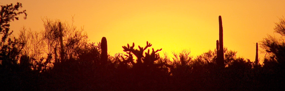 der Sonne entgegen...