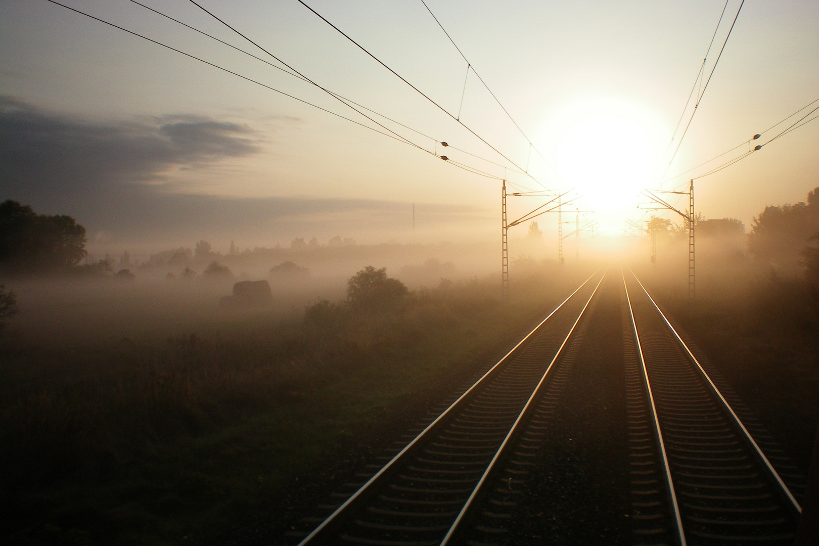 Der Sonne entgegen