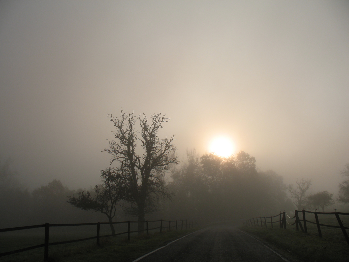 Der Sonne entgegen...