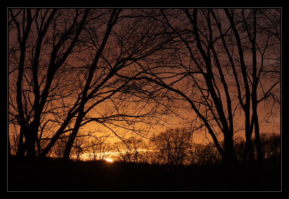 Der Sonne entgegen