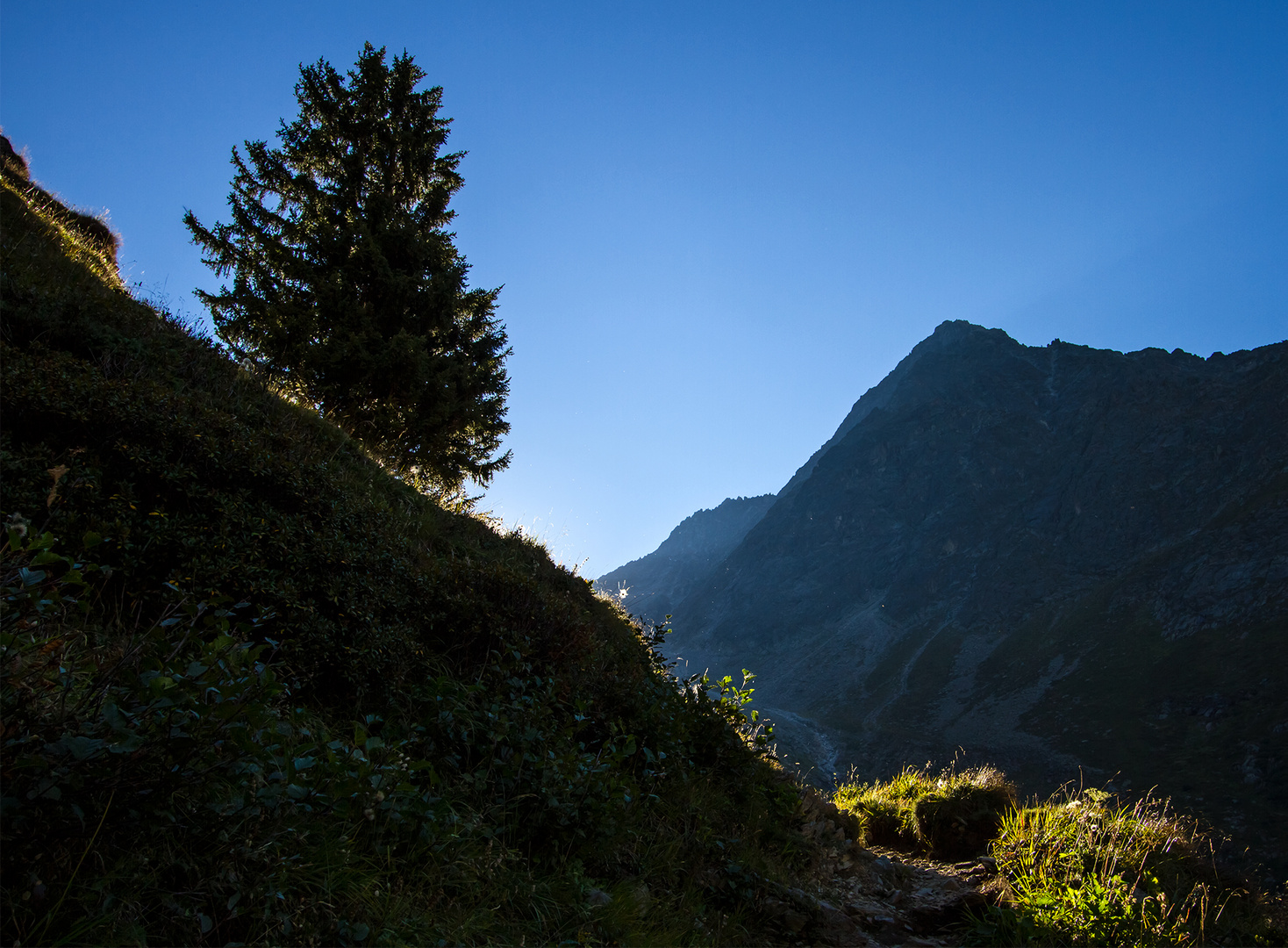 der Sonne entgegen