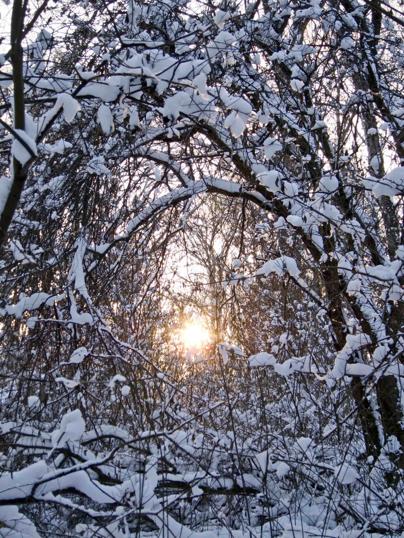 Der Sonne entgegen