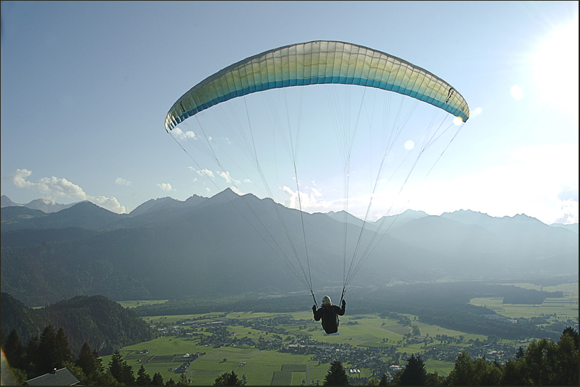 der Sonne entgegen