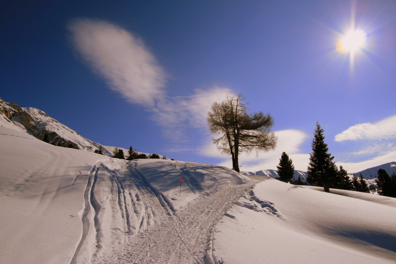 Der Sonne entgegen..