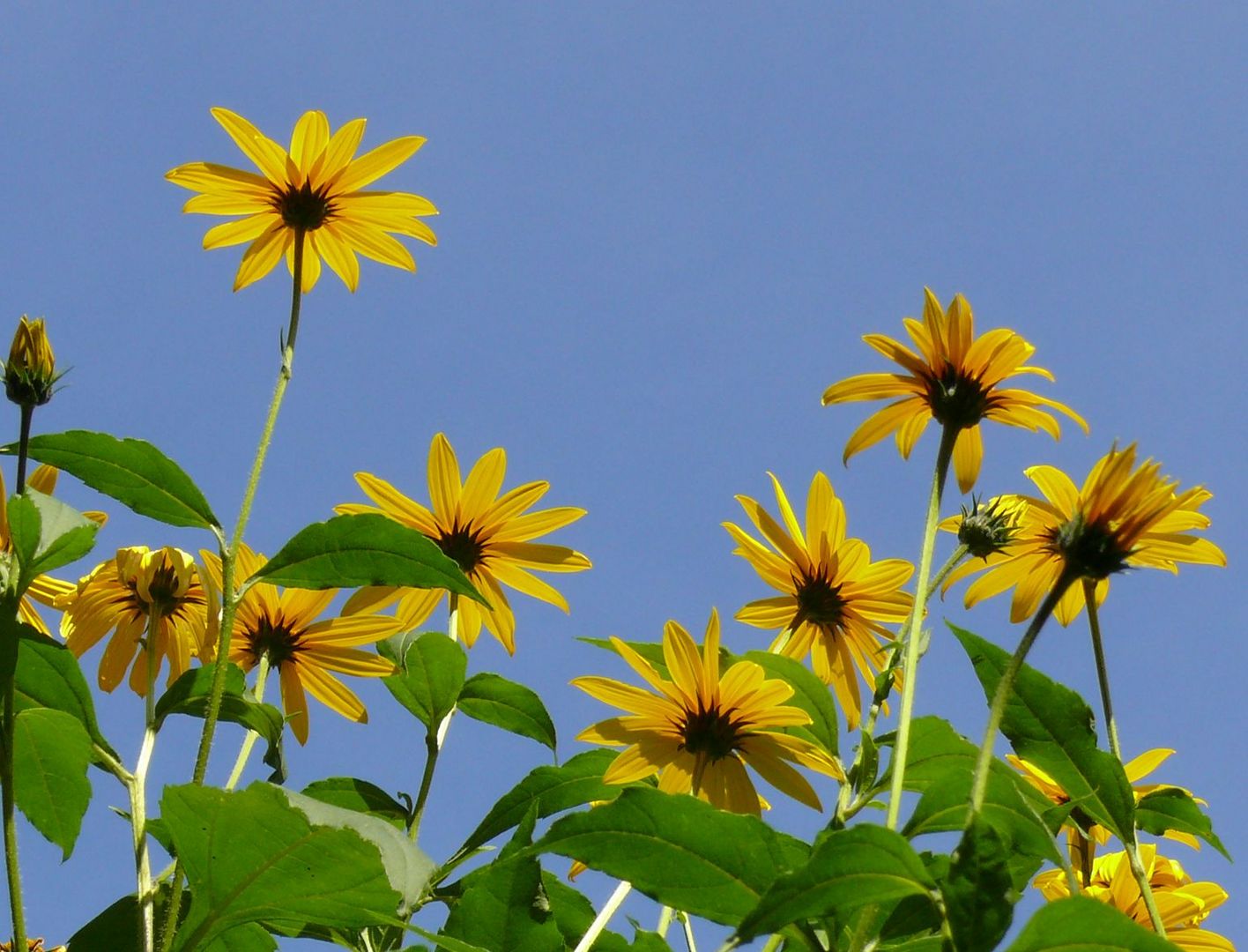 Der Sonne entgegen...