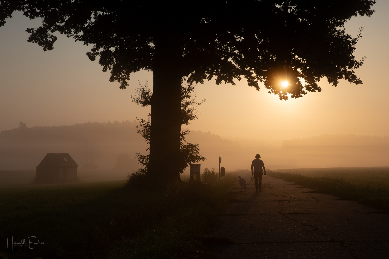 Der Sonne entgegen